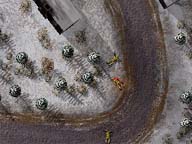 CC50 Image